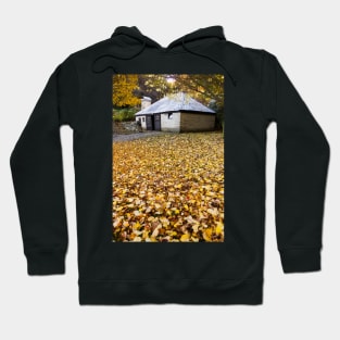 Autumn in Arrowtown, New Zealand Hoodie